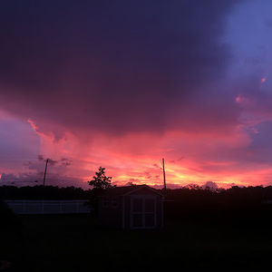 Meet your Posher, Audrey